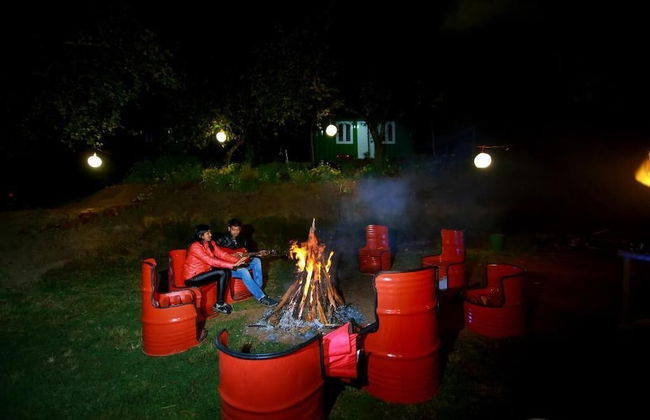 The Pear County - Foto 37