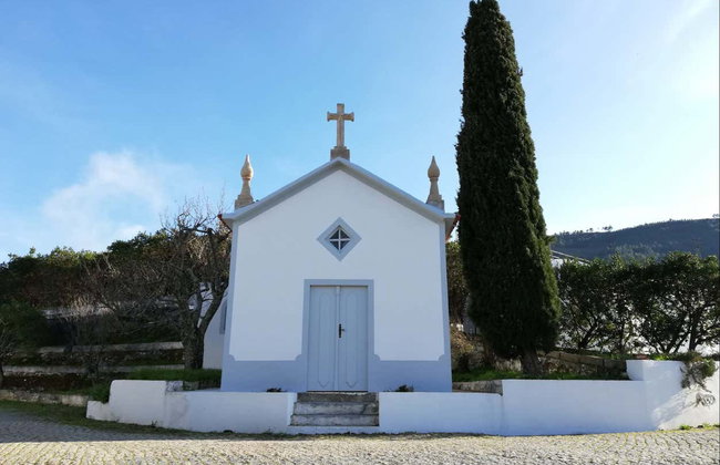 Cata de vinos en Quinta São Luiz - Foto 5