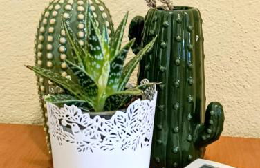 Casa Lo Pinto Private Pool Villa South of El Torcal -UNESCO- - Photo 28