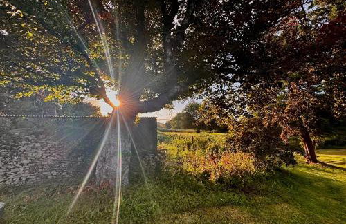 Torridge House Cottages - Foto 46