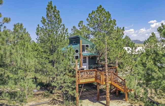 Tree Eagles Nest - Foto 49