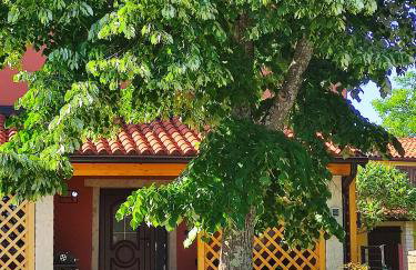 Garden apartment Dena - Foto 21