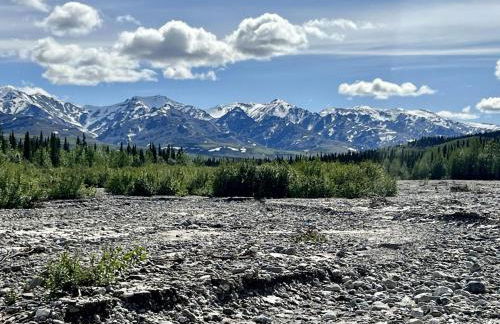 Denali Natl Park 3 Bedroom Home on 5 Acres, hiking and wildlife - Foto 23