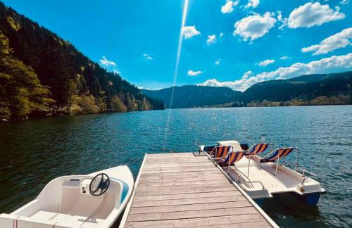 BEAUTIFUL CHALET in nature near Gerardmer! - Foto 26