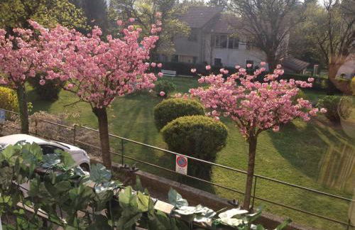 Cerro Lake view perfect for families, walk to the beach! - Photo 21