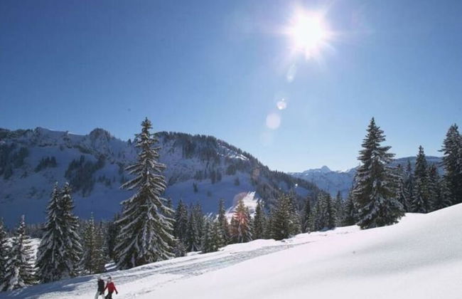 1 Porzig Modern Retreat - Photo 14