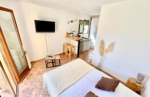 Studio avec jacuzzi et piscine - Foto 7