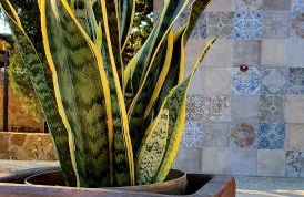 Cresta Azul - Foto 22