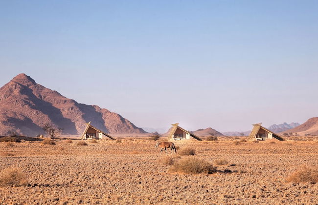 Desert Quiver Camp - Foto 26