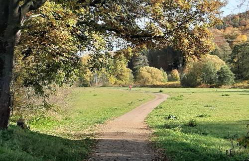 Ferienwohnung im grünen Muldental - Foto 31
