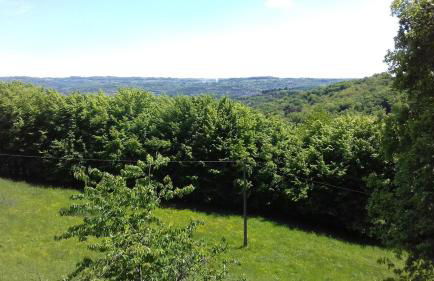 Roulotte au Domaine de la Moretie - Foto 12