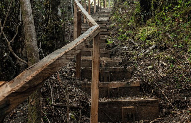 Carintia Cabins - Foto 13