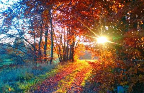 Family Comfort in Güntersberge - Foto 36