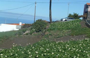 Casa Los Viñedos A - Foto 71