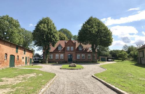 Geraeumiges Ferienhaus mit Sauna - Foto 40