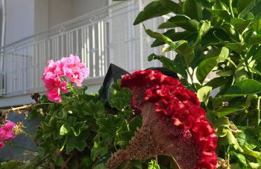 KALIMERA Suite Kalamata - Foto 3