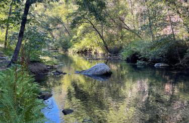 Lux, designer 8-acre retreat with private creek - Foto 35