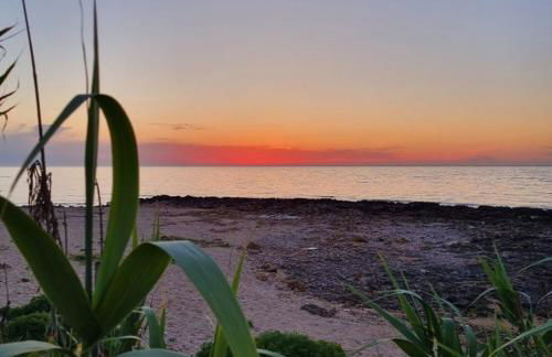 Di Mari e d'Amuri Casa Vacanza - Foto 7