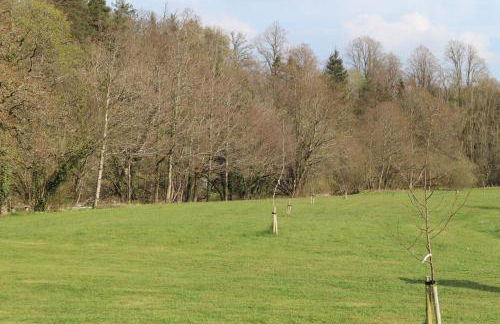 HEDDFAN, Luxury 3 bedroom timber lodge, Now with WiFi, Caer Beris Holiday Park, Builth Wells, SORRY NO TRADESMEN OR CONTRACTORS ALLOWED - Foto 37