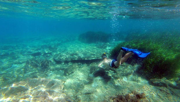 Explorando el fondo marino