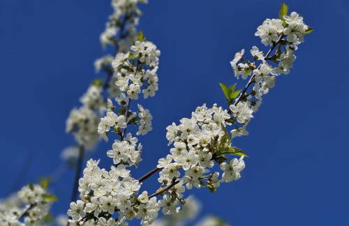 Hof am Meer "Seemöwe" - Foto 25