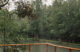 Casa Slow avec sa piscine chauffée au bord du lac - Foto 5