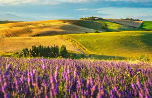 Agriturismo L'impero - Foto 9