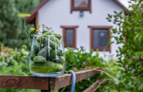 Mały Kaletnik - Foto 28