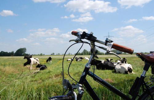Ferienwohnung Wiesenblick, 65322 - Foto 17