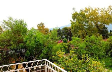 luxurious apartments Angelina - Photo 4