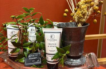 Bergerie de Charme Pedi Lione - Foto 19