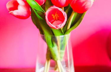 Dolly's Yacht Club - Cozy Retreat Near Broadway - Foto 43