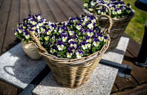 Kiton House - Foto 20