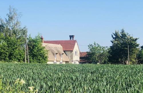 Beautiful thatched Dynes Cottage Finchingfield sleeps 10 - Foto 18