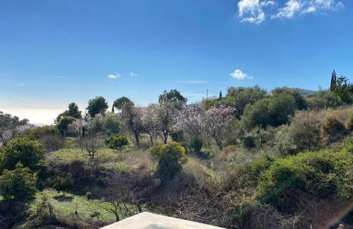 Algarrobo Azul - Foto 34