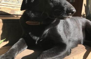 Casa Crudo, PRIVACIDADE NA MATA ATLÂNTICA, piscina, trilhas e descanso - Foto 52