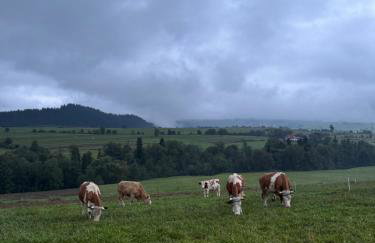 Apartamenty Agroturystyczne Papiernia Grill, Sauna & Jacuzzi - Foto 38