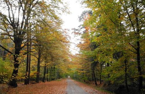 Ferienwohnung Meyenburg - Foto 19