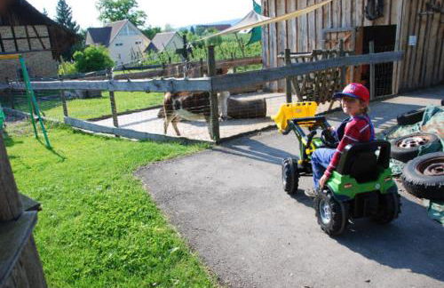 FERIENHOF KATZENMAIER, Bauernhof- und Familienurlaub am BODENSEE, großzügig wohnen, MESSENAH und teils BARRIEREFREI, Spielangebot für drinnen und draußen, Parkplatz am Haus, gute ÖPNV-Anbindung - Foto 30