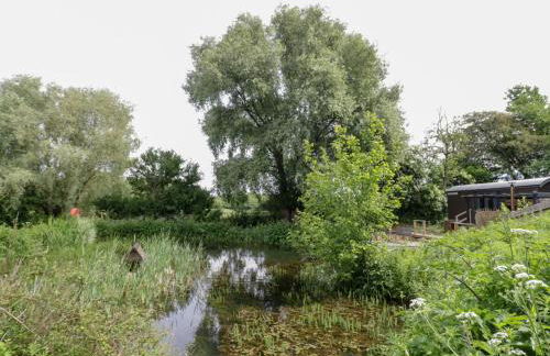 The Shepherds Hut at Bridge Lake Farm & Fishery - Foto 20