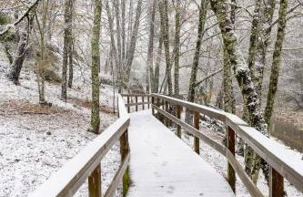 Senhora da Estrela AL - Foto 34