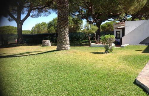 Sailing Studio Açoteias - Foto 28