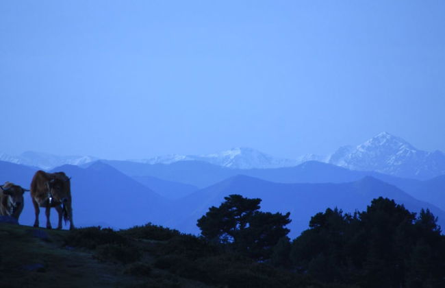 LA Nana DEL MAR Flat on the old Port of Cudillero - Photo 59