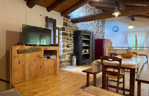 Gite LES SOURCES, 9 pers, 11 couchages - Arlempdes, classé un des plus beaux villages de France - Foto 29