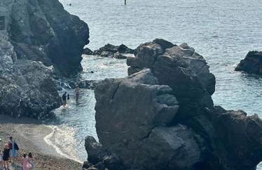 Harbour House CITRA 010025-LT-3472 - Foto 32