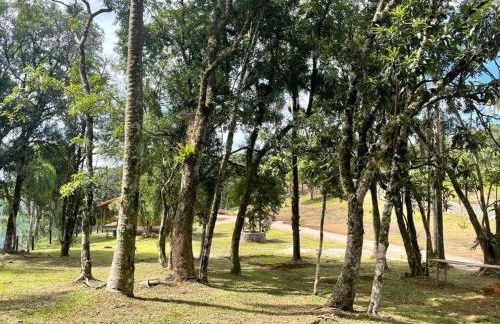 Chalé do Pinheiro em Nova Petrópolis - Foto 35