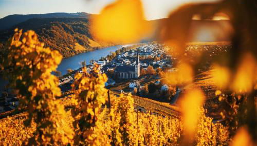 Weingut Knodt-Trossen - Foto 2