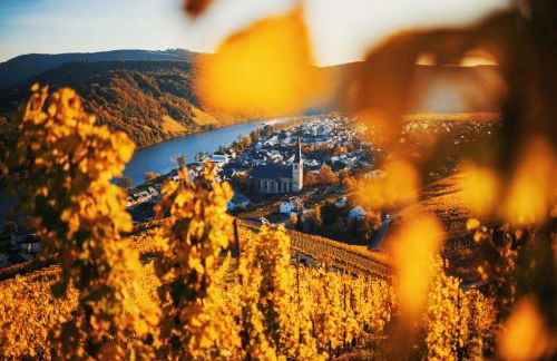 Weingut Knodt-Trossen - Foto 2