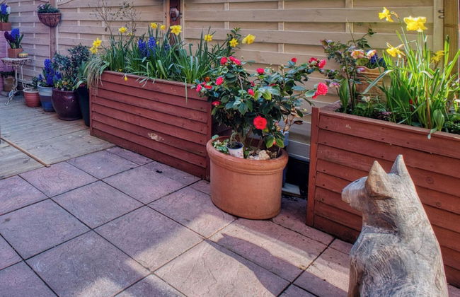 Beach, Dreamland, Restaurants Nearby- Sunny Garden - Foto 12