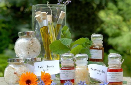 Ferienhof "Alte Försterei" - Foto 25